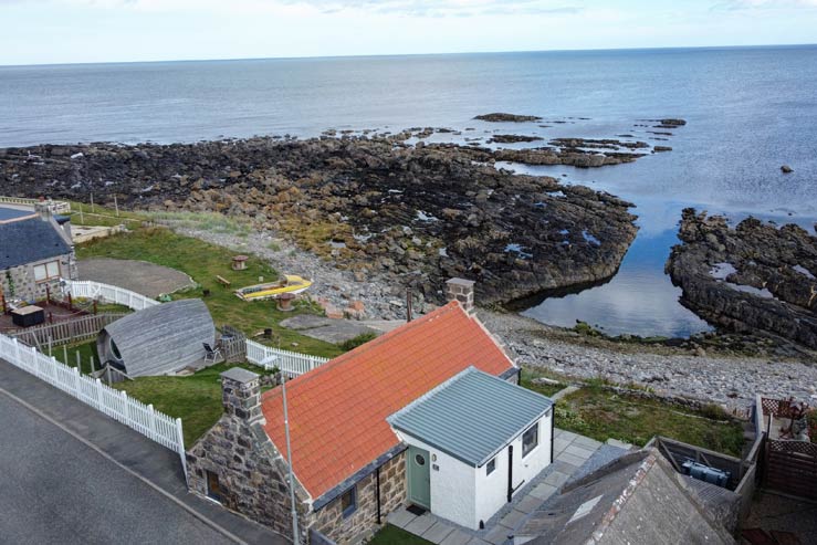 29 Pitullie 29 Pitullie