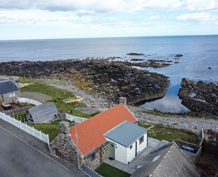 29 Pitullie 29 Pitullie