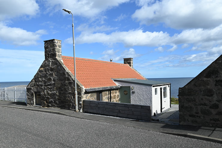 29 Pitullie 29 Pitullie