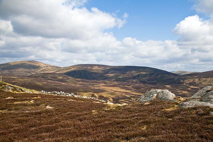 Ashintully Hill Ashintully Hill