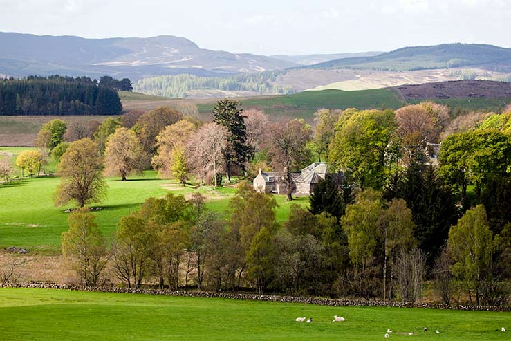 Garden Cottage at Ashintully Castle Garden Cottage at Ashintully Castle