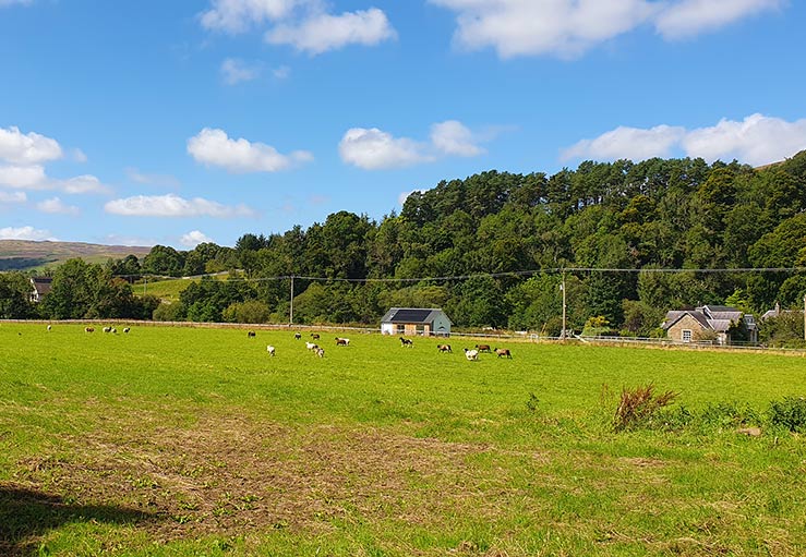 Howfordmill Stables, Ettrick Valley Howfordmill Stables, Ettrick Valley