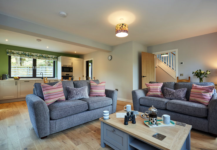 Sitting/dining room/kitchen Sitting/dining room/kitchen