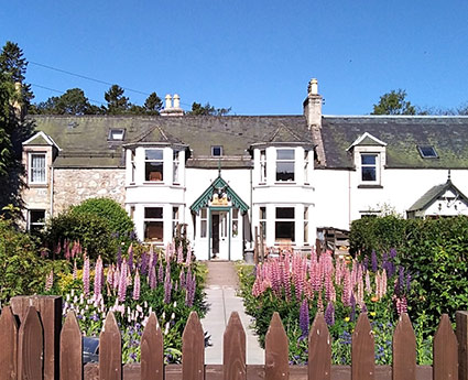 preview.jpg preview.jpg