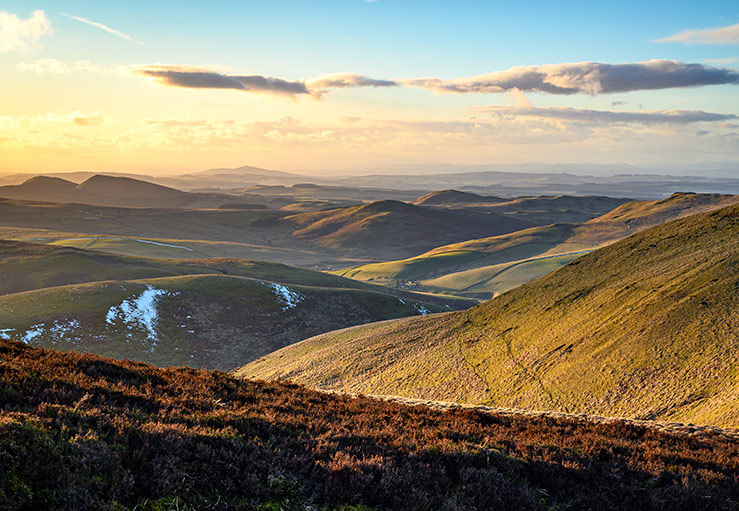 Cheviot Hills Cheviot Hills