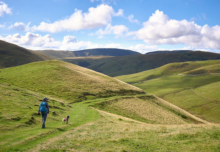 Walking in the Cheviot Hills Walking in the Cheviot Hills