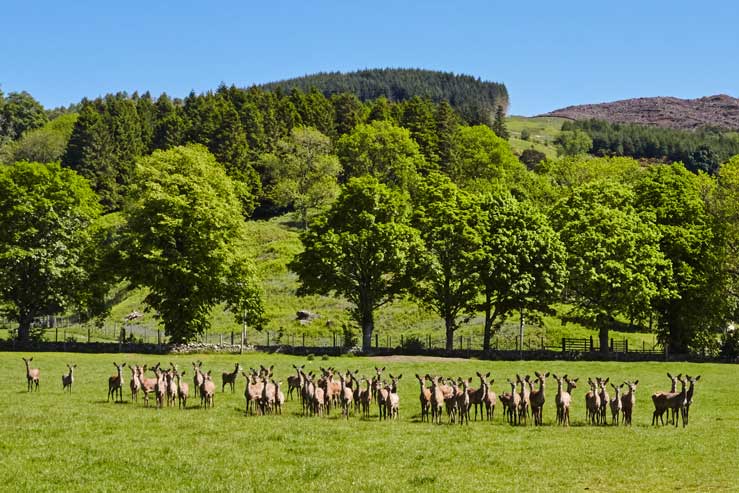 Some of the neighbours Some of the neighbours