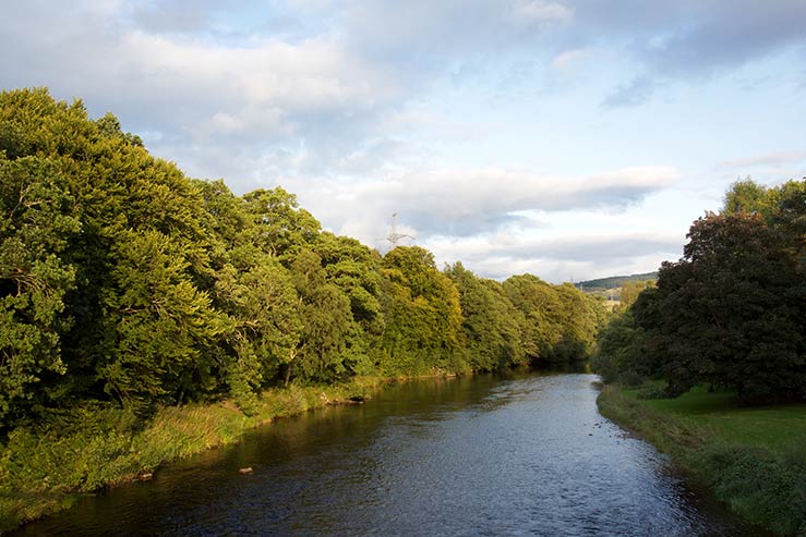 River view River view