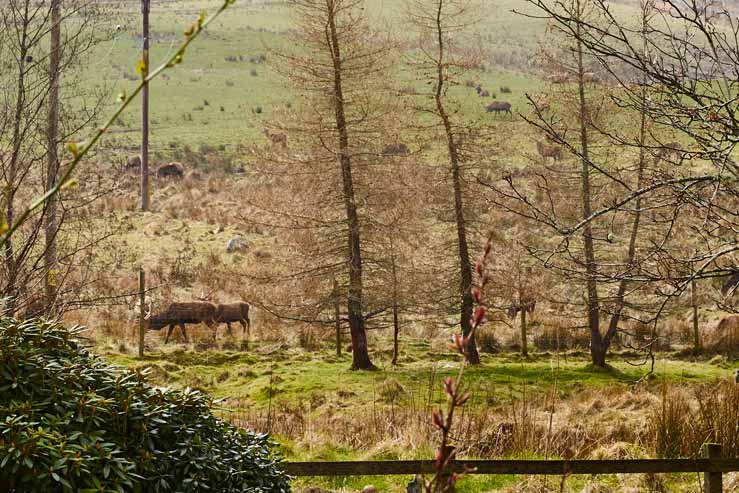 View from back garden View from back garden