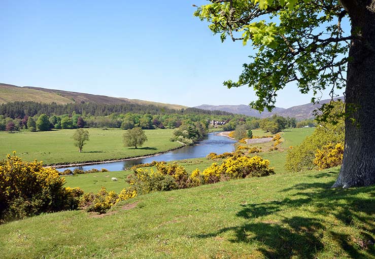 Road to Katie's Cottage & River Cannon Road to Katie's Cottage & River Cannon